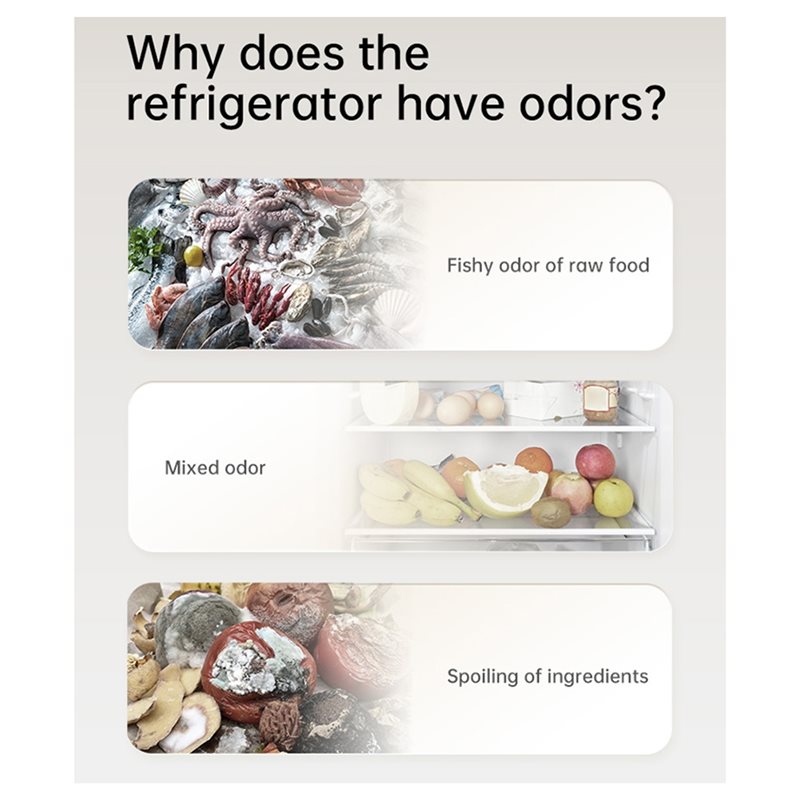 Désodorisant Réfrigérateur 202 - Kitchen Gadgets Of 2025 avis et prix